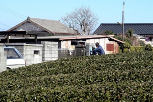 【W様】家族の承諾なく所有しているものもあり、家族に知られることなく処分したいです。