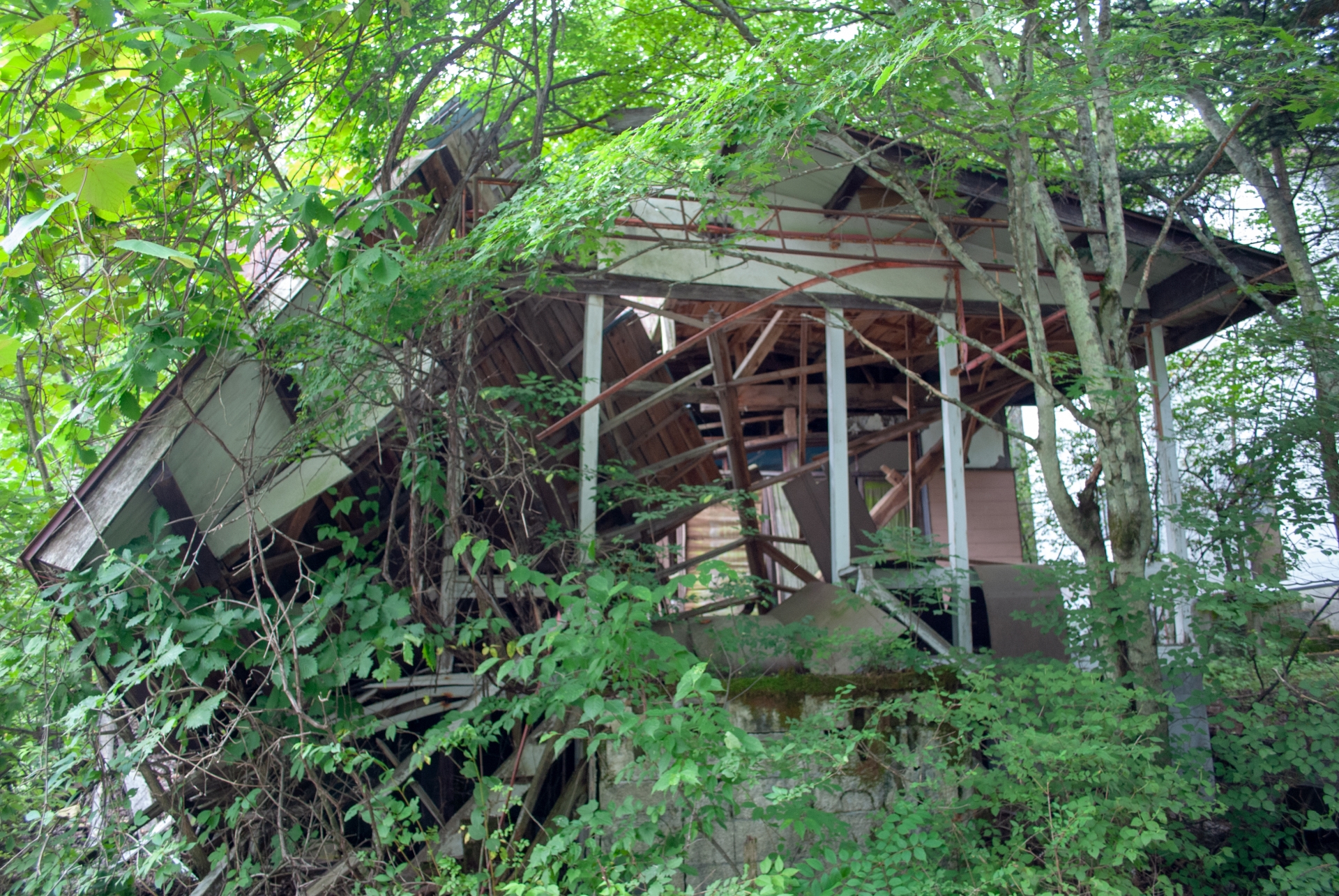 長年、利用していなかった別荘を手放したいです。荒れていても売却は可能でしょうか？