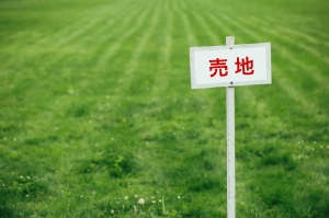 広大な土地を相続しましたが、広すぎて管理もできず困っています。