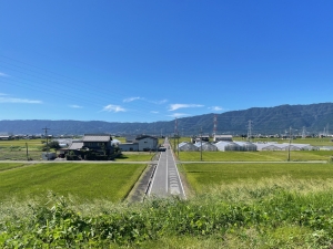 広大な土地を相続しましたが、広すぎて管理もできず困っています。