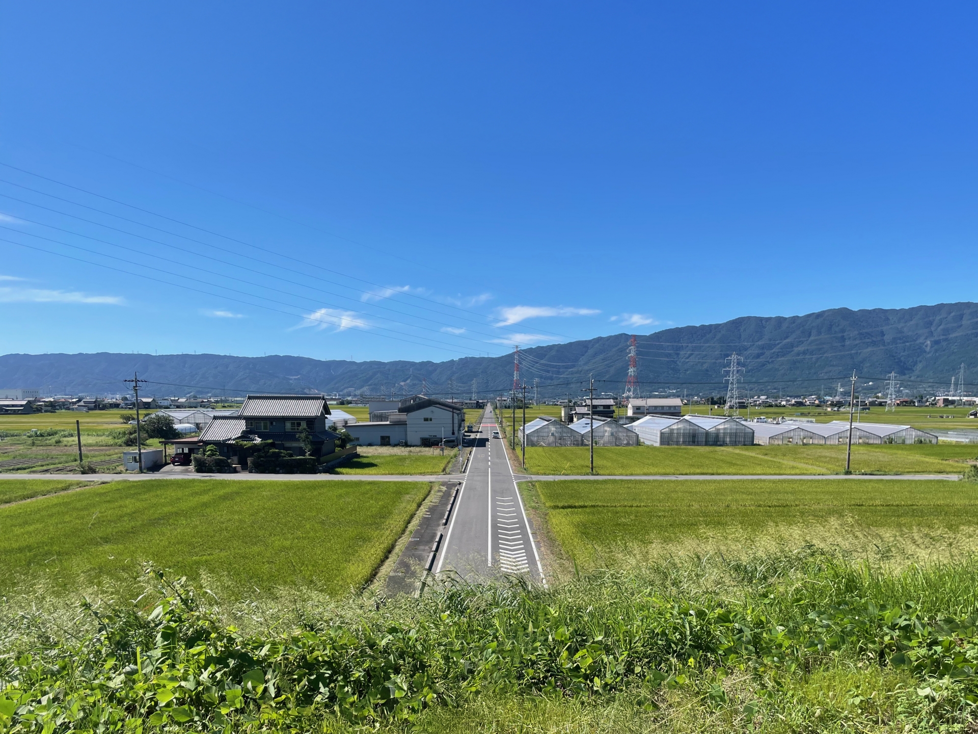 広大な土地を相続しましたが、広すぎて管理もできず困っています。