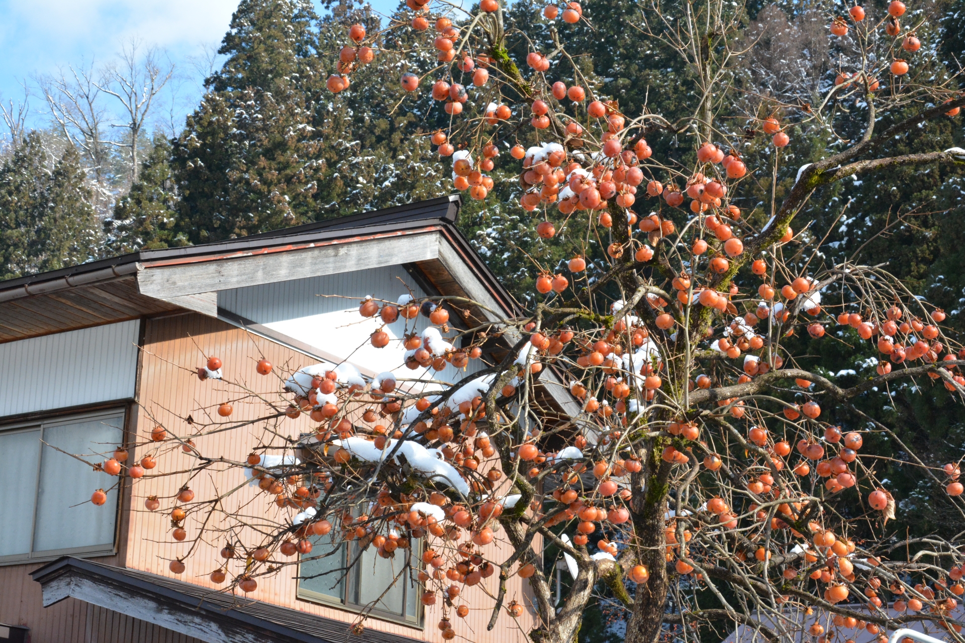 空き家の管理が大変だったので、売却の相談をしました。