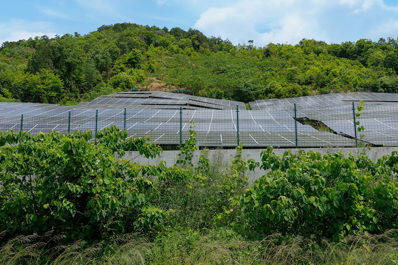 ソーラーパネルが設置された土地